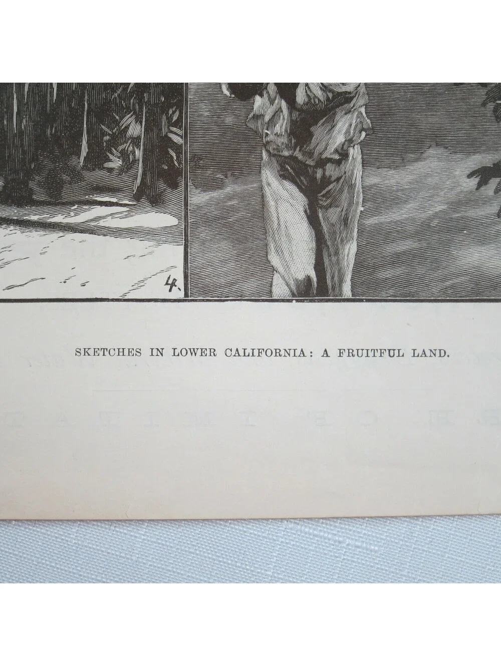 Antique 1888 Print Sketches in Lower California: A Fruitful Land RC Woodville II